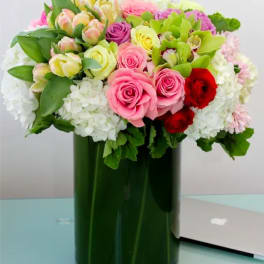 Beautiful Surprise