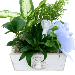 Angel in Heaven Dish garden