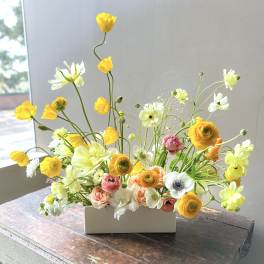 Noran (Gallery Photo)