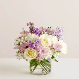 Lovely Lavender