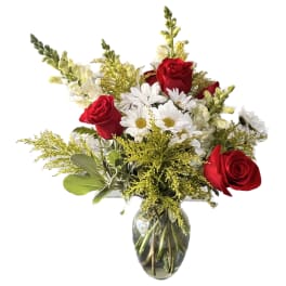 Dazzling white daisies