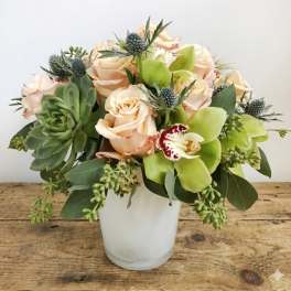 Peach and thistle