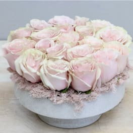 Blush and Bloom - Weho
