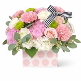 Polka Dots & Stripes Pink