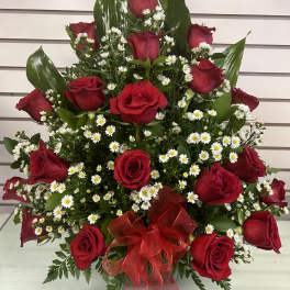 18 Roses Front Facing/18 Rosas de un Frente
