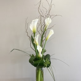 Calla Lily Beauty
