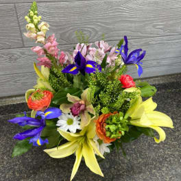Designers Choice Spring