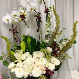 Whispering Orchids