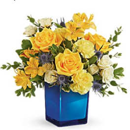Golden Blue