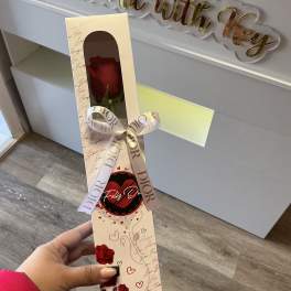 Single red rose in a decorative gift box with a ribbon