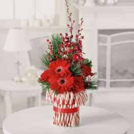 Candy Cane Surprize