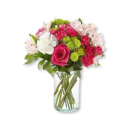 Sweet & Pretty