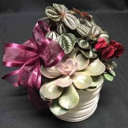 Sweet mini Modern Planter Garden