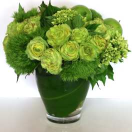 Green Hope