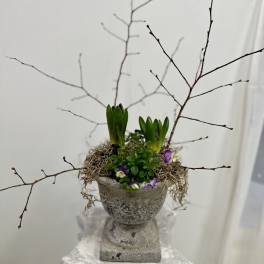 Vintage Bulb Garden by Westford Florist Art by Veny