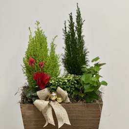Enchanted Evergreens Holiday Garden by Westford Florist Art by Veny
