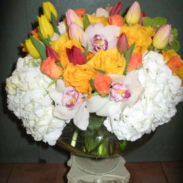 Ross tulips hydrangea orchid #44