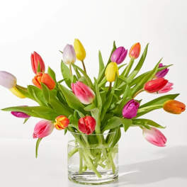 Tip Toe Bouquet