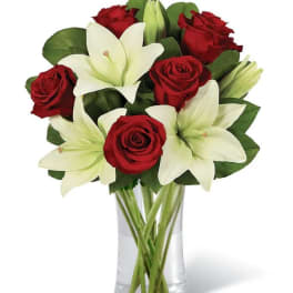 Love & Lily Elegance