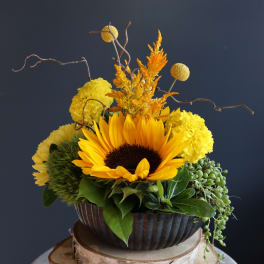 Sunflower arrangement with yellow blooms in a dark bowl vase