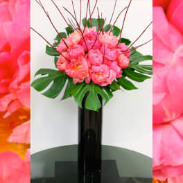 Peony Heaven
