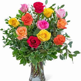 1 Dozen Vibrant Roses
