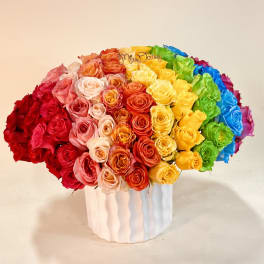 Queen Of The Rainbow