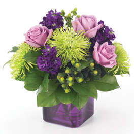 Purple Passion