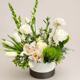 Grace in Bloom