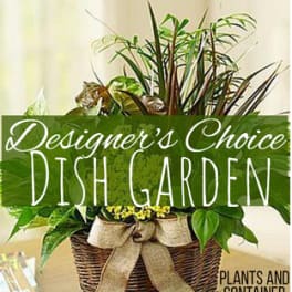 Mixed potted plants in a wicker basket with a burlap bow