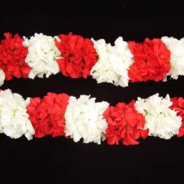 MIXED OF RED & WHITE CARNATION LEI