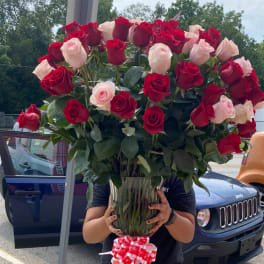 Roses for special occasion