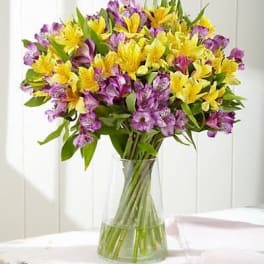 Bouquet of yellow and purple alstroemeria in a clear glass vase