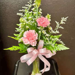 Carnation delight