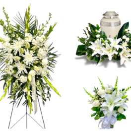 Eternal Memories Collection