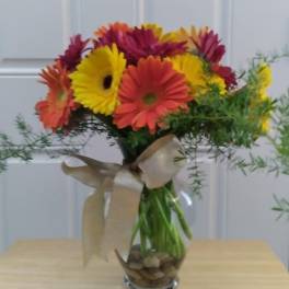 Bouquet of colorful gerbera daisies in a glass vase with a ribbon