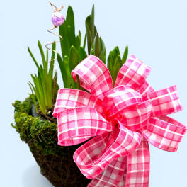 Whispers of Spring Bulb Garden