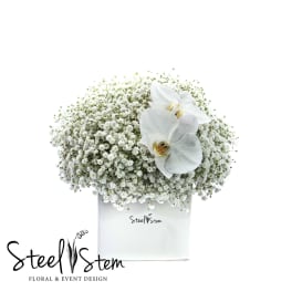 White orchid arrangement in a square white box