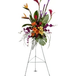Paradise Tribute Spray [TFWEB562]