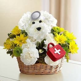 Doggie Howser M.D.
