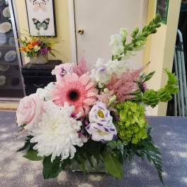 Garden Blooms