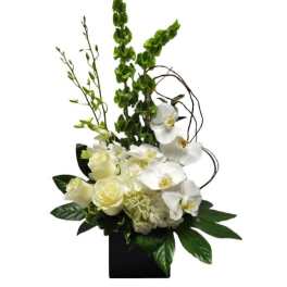 Tall modern arrangement of white orchids, roses, and hydrangea with green spikes in a black square vase