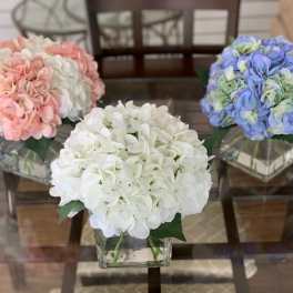 Three hydrangea arrangements in square glass vases on a table