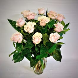 Sweet Pink Roses
