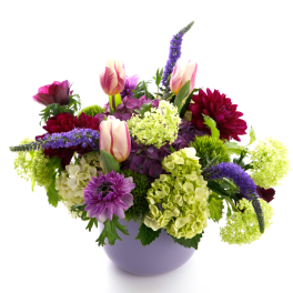 Purple Pleasure