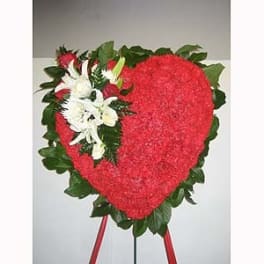 Bleeding Heart