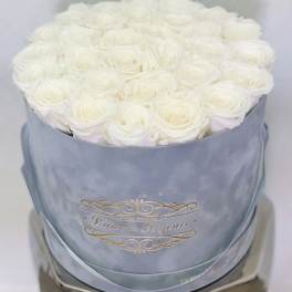 Everlasting Roses Gray Velvet Signature Box - White 