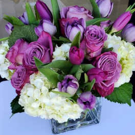 Compact arrangement of purple roses and tulips with white hydrangeas in a clear glass cube vase