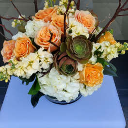 Peach roses, white hydrangeas, succulents, and branches arranged in a low glass vase.