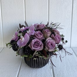 Midnight Purple